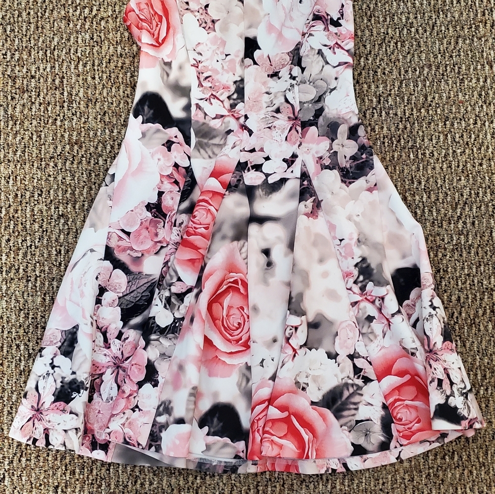 Seamed Floral Sleeveless Dress